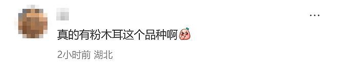盒马“贵妃粉耳”翻车！粉木耳配上女性剪影，网友怒批：低俗擦边 - 10
