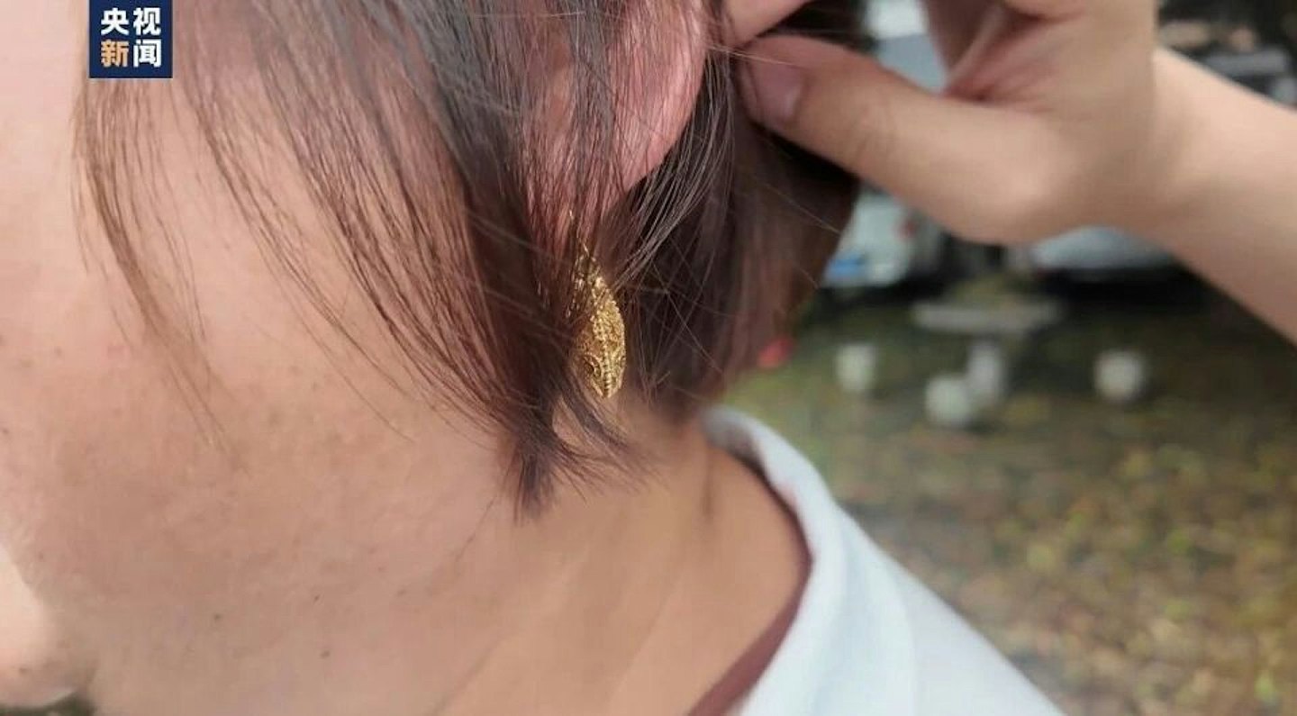 湖南救灾女干部因戴金耳环遭网暴，官媒出场（组图） - 4