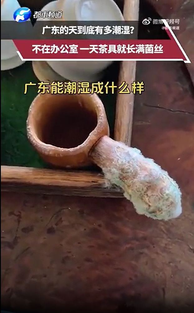 女子仅一天没在办公室，茶具上就长毛了，喜提“毛绒外套”一件 ，网友：现在知道为什么在很多餐具都是不锈钢的了 - 1