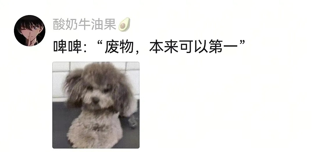 狗子在马拉松上上演速度与激情,主人在身后狂追…(组图) - 18