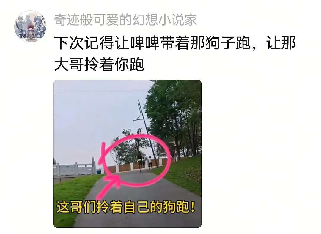 狗子在马拉松上上演速度与激情,主人在身后狂追…(组图) - 20
