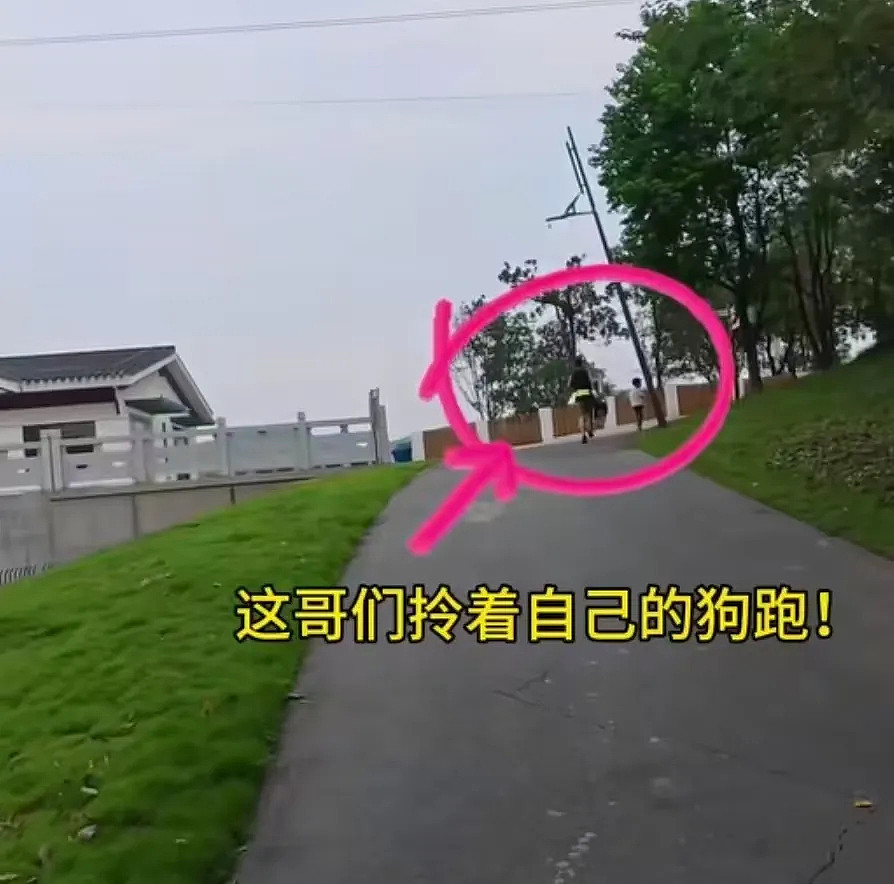狗子在马拉松上上演速度与激情,主人在身后狂追…(组图) - 12