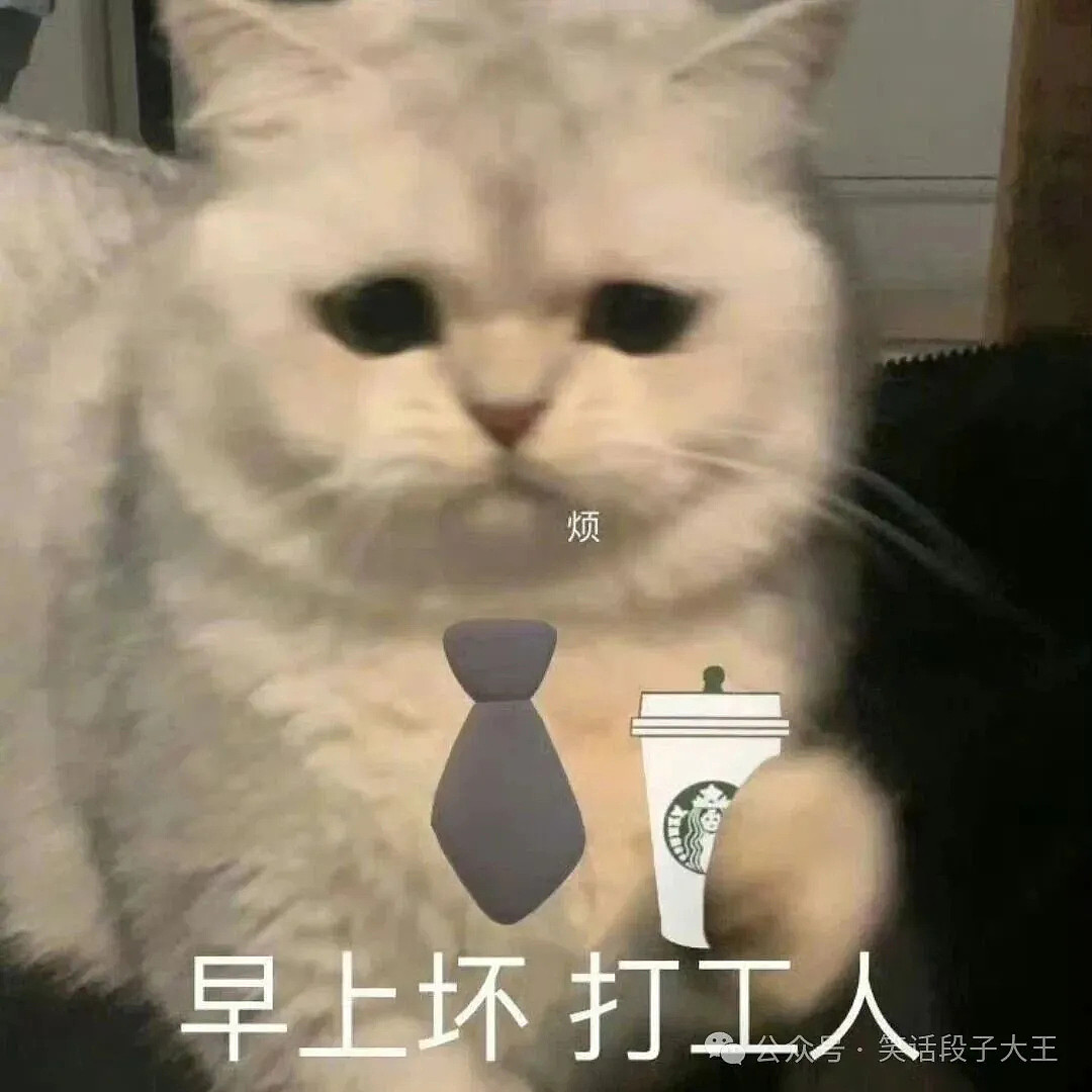 刷到笑到跺脚｜100条冷笑话，专治不开心 - 5