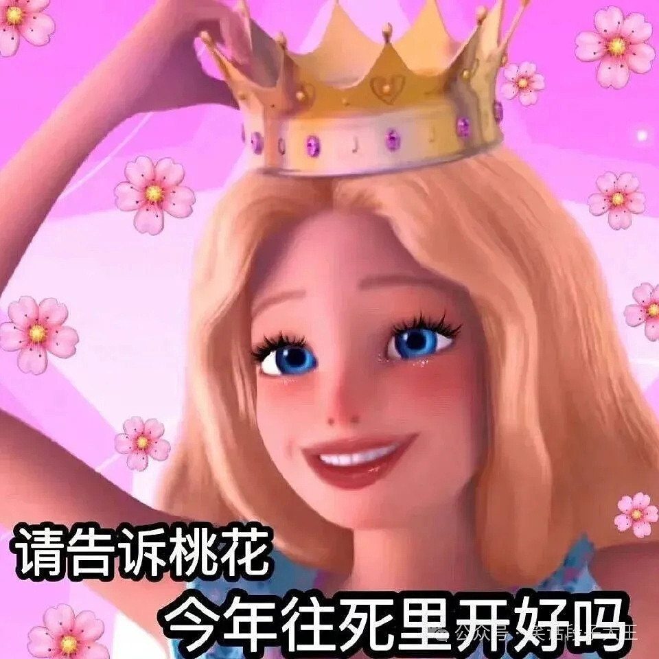 刷到笑到跺脚｜100条冷笑话，专治不开心 - 6