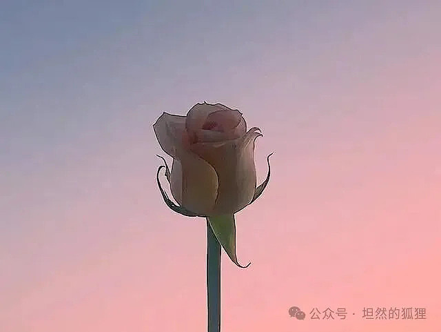一个人，在“爱与被爱中”中的样子，很抽象 - 2