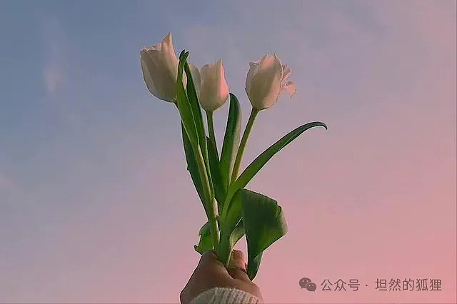 一个人，在“爱与被爱中”中的样子，很抽象 - 3
