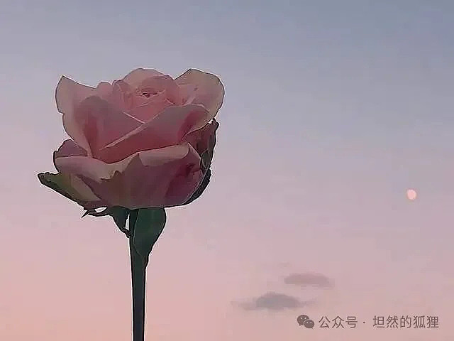 一个人，在“爱与被爱中”中的样子，很抽象 - 1
