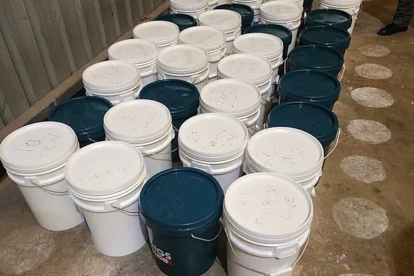 悉尼帮派大佬遭跨国追杀，警方顺藤摸瓜捣毁犯罪团伙！缴获近800斤冰毒（组图） - 2