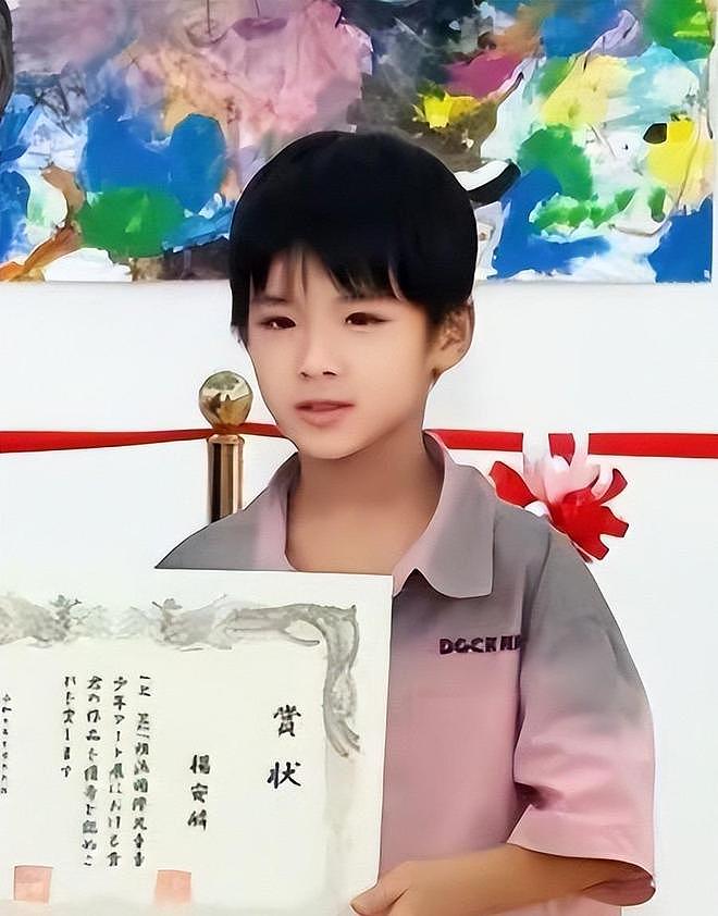 黄圣依儿子双料冠军太惊艳,杨子公司立案调查,两人命运两级反转 - 3