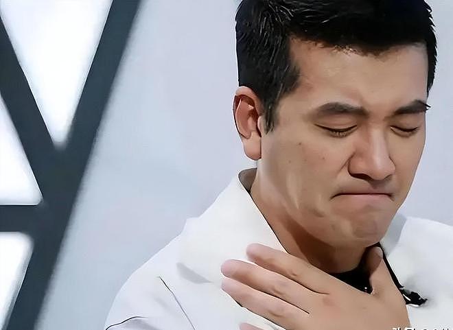 黄圣依儿子双料冠军太惊艳,杨子公司立案调查,两人命运两级反转 - 10