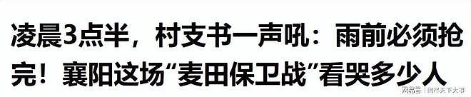 “割四赔五”？湖北大娘讹收割机后续，警方介入，当地人再曝恶行 - 3