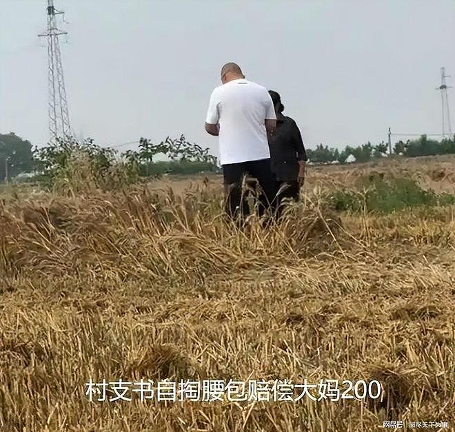 “割四赔五”？湖北大娘讹收割机后续，警方介入，当地人再曝恶行 - 14