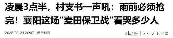 “割四赔五”？湖北大娘讹收割机后续，警方介入，当地人再曝恶行 - 21
