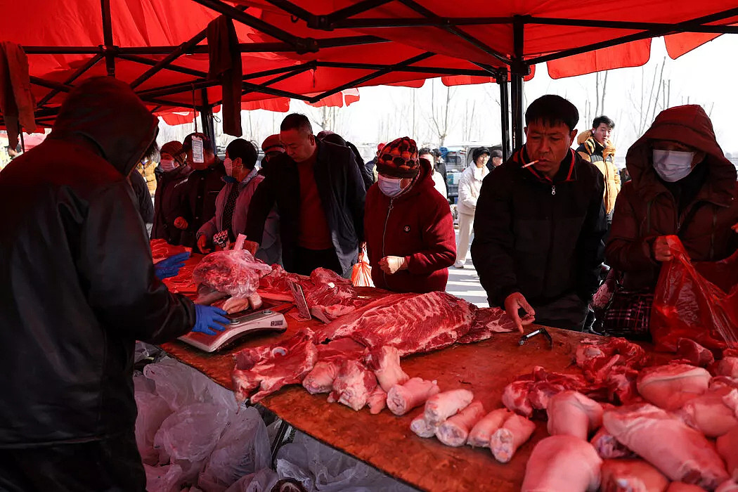 猪肉价格暴跌,中国经济的“不祥之兆”?(组图) - 1