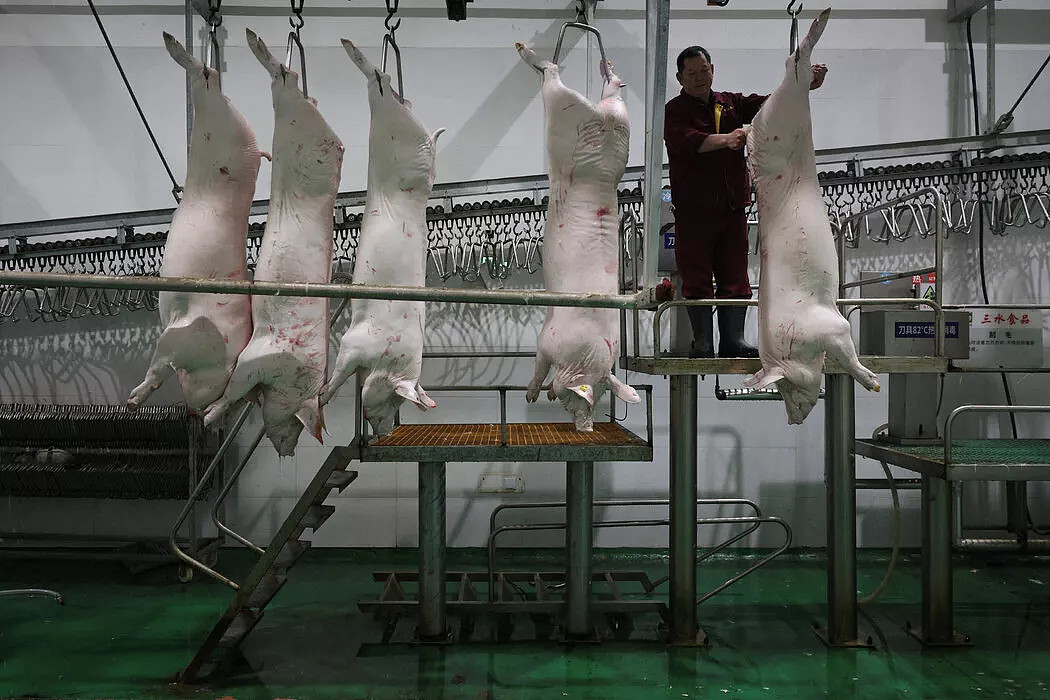 猪肉价格暴跌,中国经济的“不祥之兆”?(组图) - 3