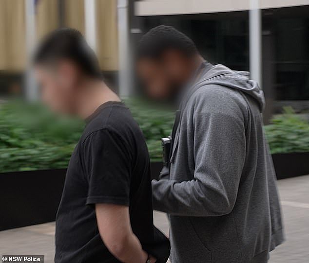 横行悉尼街头的新黑帮被剿灭！警方起获390公斤毒品，骨干海外遭枪杀 - 2