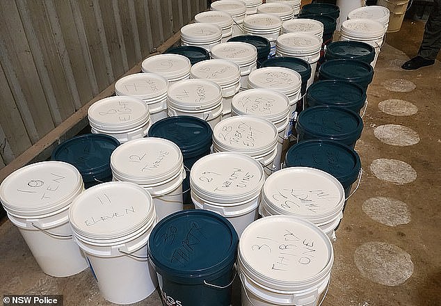 横行悉尼街头的新黑帮被剿灭！警方起获390公斤毒品，骨干海外遭枪杀 - 3