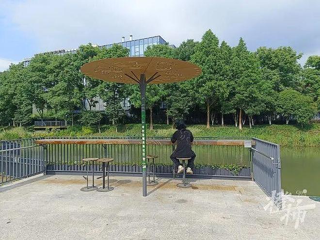 杭州公园引入“黑科技”：一天抓7000多只蚊子！“河边坐一个半小时没被咬”“我都想买一个放家里”（组图） - 5