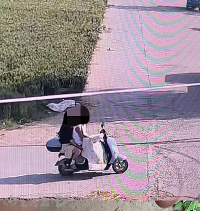 百万粉丝网红边牧被顺走,180元转卖遭宰杀:主人悬赏5000元(组图) - 3