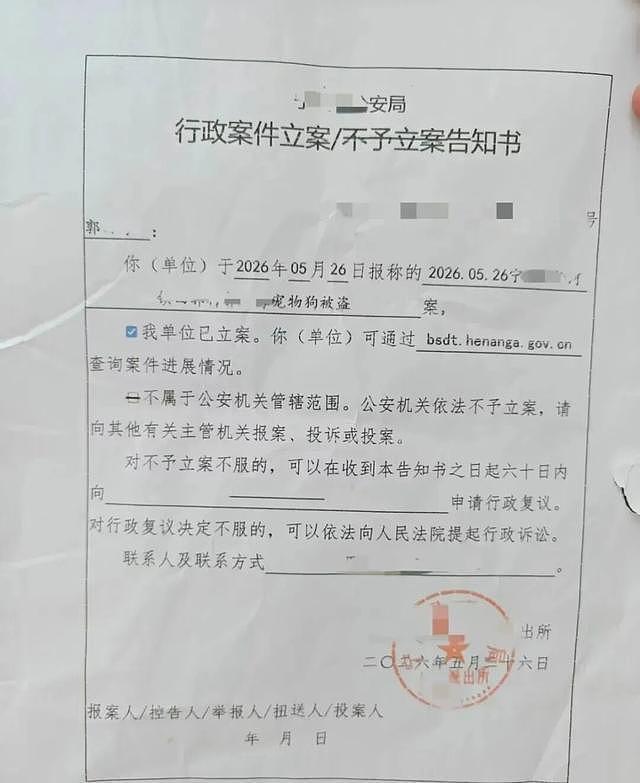 百万粉丝网红边牧被顺走,180元转卖遭宰杀:主人悬赏5000元(组图) - 4