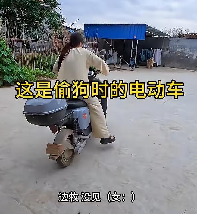 网红边牧被偷杀后续：网友实地考察，恶心一幕发生，比偷狗更炸裂 - 4