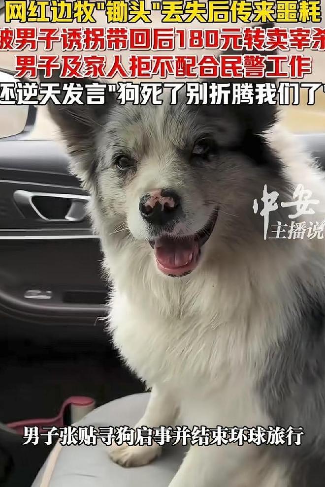 网红边牧被偷杀后续：网友实地考察，恶心一幕发生，比偷狗更炸裂 - 5