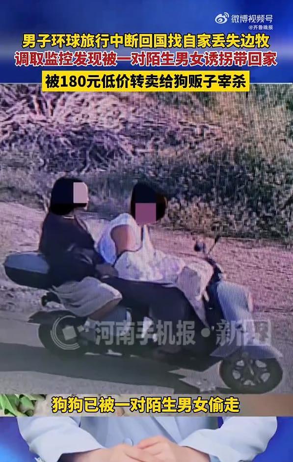 网红边牧被偷杀后续：网友实地考察，恶心一幕发生，比偷狗更炸裂 - 9