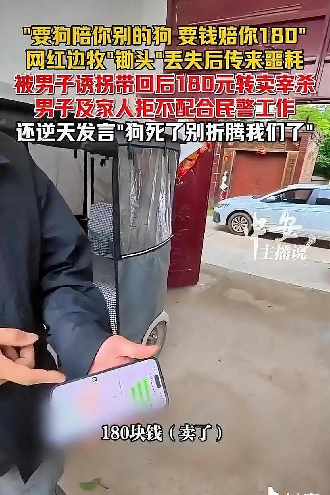 网红边牧被偷杀后续：网友实地考察，恶心一幕发生，比偷狗更炸裂 - 10