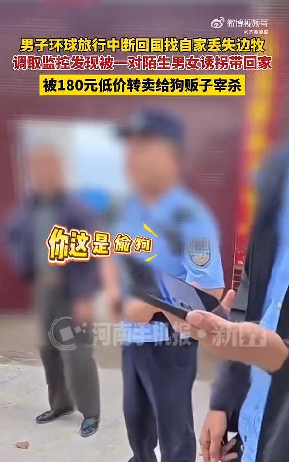 网红边牧被偷杀后续：网友实地考察，恶心一幕发生，比偷狗更炸裂 - 11