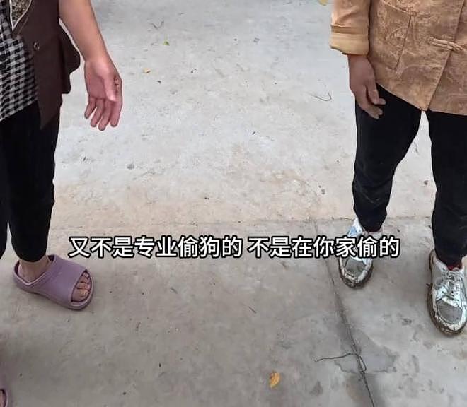 网红边牧被偷杀后续：网友实地考察，恶心一幕发生，比偷狗更炸裂 - 13
