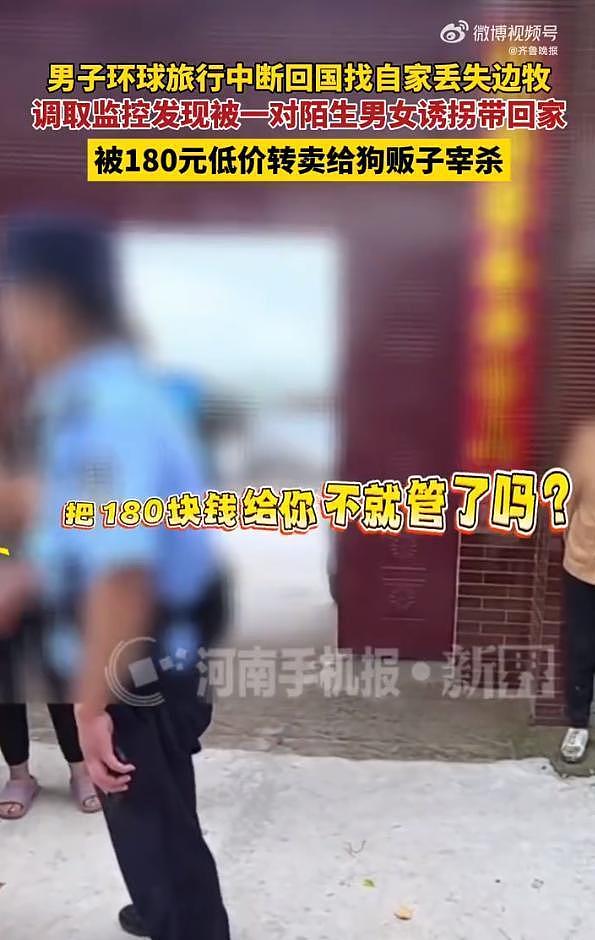 网红边牧被偷杀后续：网友实地考察，恶心一幕发生，比偷狗更炸裂 - 14