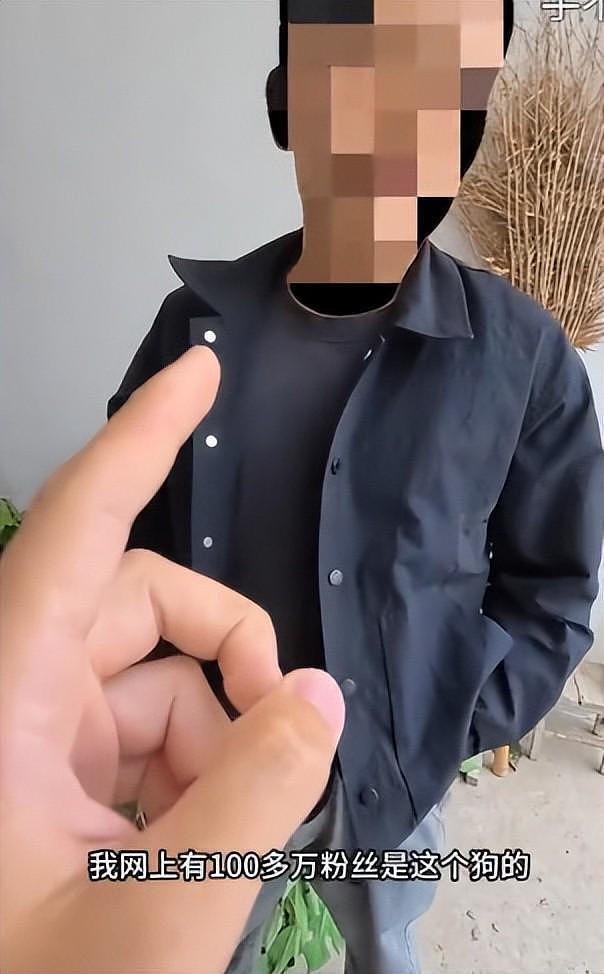 网红边牧被偷杀后续：网友实地考察，恶心一幕发生，比偷狗更炸裂 - 18
