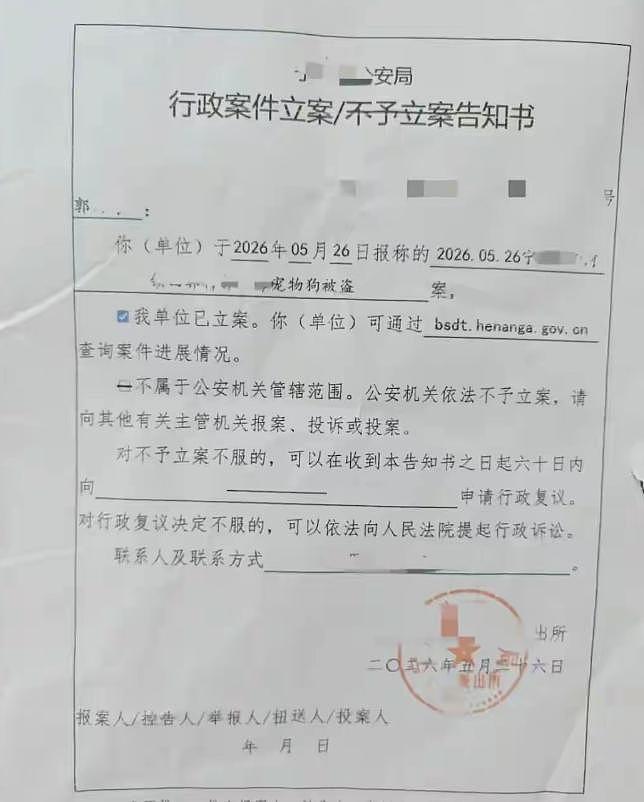 网红边牧被偷杀后续：网友实地考察，恶心一幕发生，比偷狗更炸裂 - 23