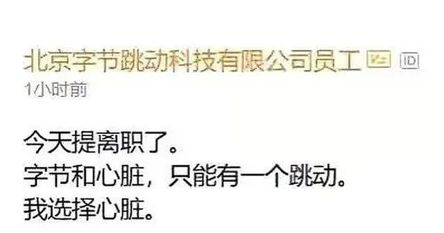 女教师“辞职信”火了,一句面子话都没写,校长看后沉默不语! - 7