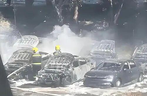 老人嫌杨絮碍事竟将其点燃，致20辆新能源车被烧毁！ - 4