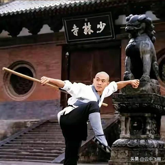 释永信判24年,向太曾开玩笑说李连杰:释永信被抓全是你害的(组图) - 2