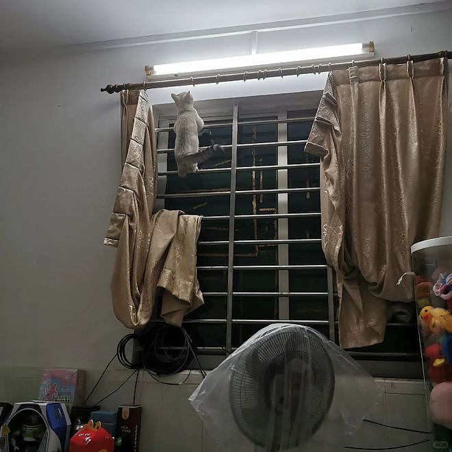 在北京的年轻人,怎么流行买地铁吊环了?(组图) - 21