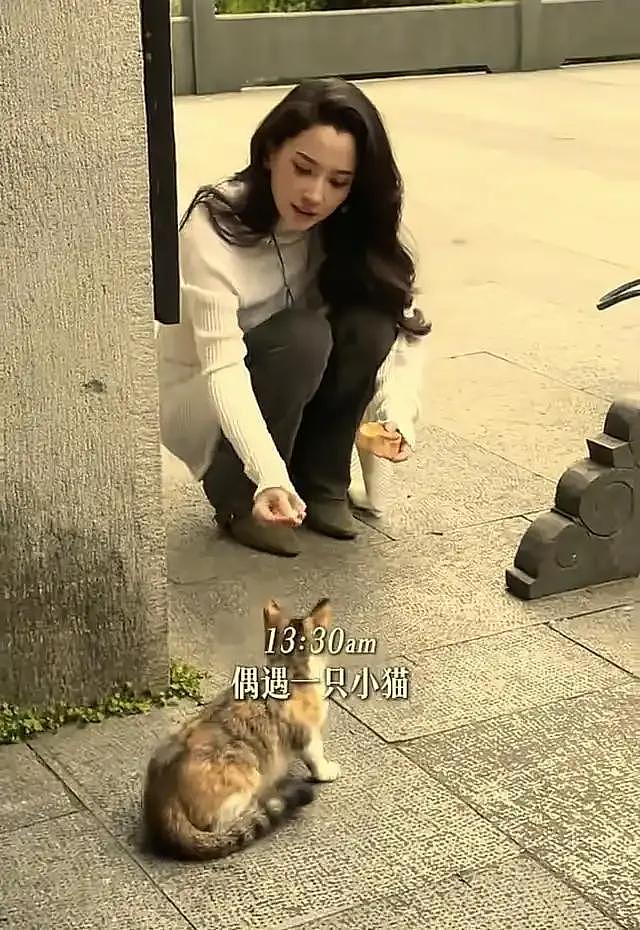 汪峰北京带娃尽显父爱，森林北杭州遭野猫咬伤，意外撕开恋爱真相（组图） - 5