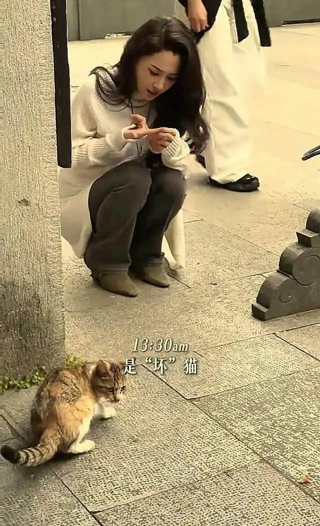汪峰北京带娃尽显父爱，森林北杭州遭野猫咬伤，意外撕开恋爱真相（组图） - 6