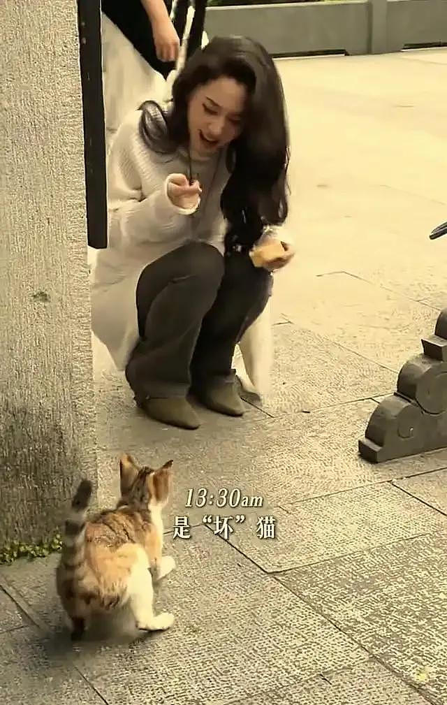 汪峰北京带娃尽显父爱，森林北杭州遭野猫咬伤，意外撕开恋爱真相（组图） - 13