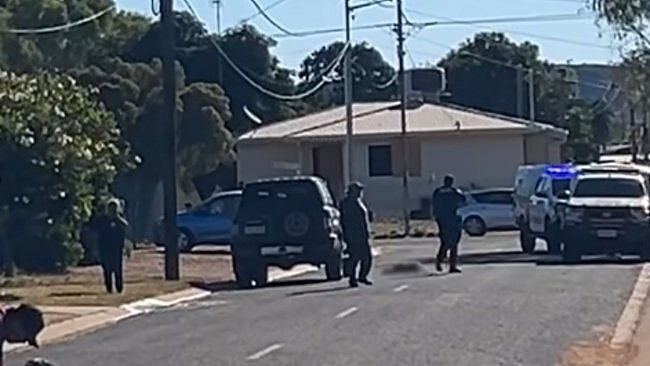 宠物狗意外遭警车碾压，澳警员当街将其射杀引争议（组图） - 1