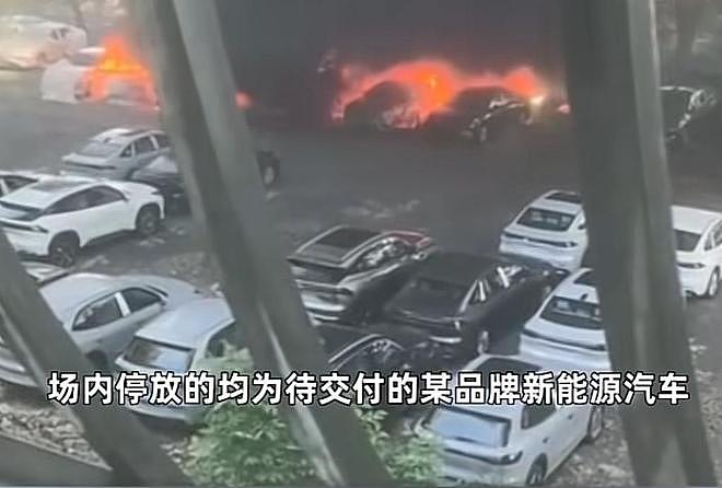 大连20辆新能源车被烧,现场画面流出,纵火者身份被扒,原因离谱(组图) - 5