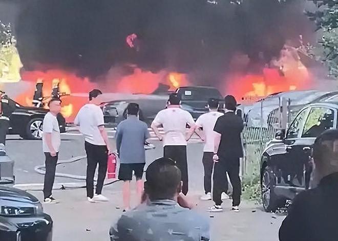 大连20辆新能源车被烧,现场画面流出,纵火者身份被扒,原因离谱(组图) - 6
