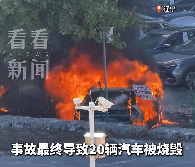大连20辆新能源车被烧,现场画面流出,纵火者身份被扒,原因离谱(组图) - 7