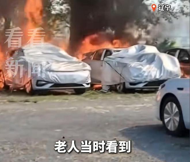 大连20辆新能源车被烧,现场画面流出,纵火者身份被扒,原因离谱(组图) - 8