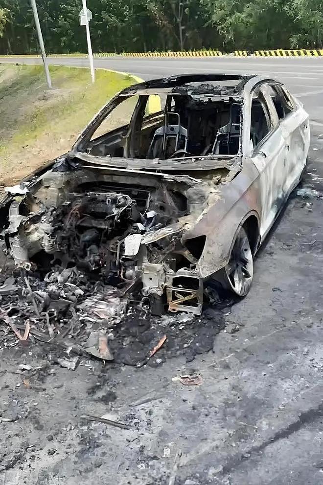 大连20辆新能源车被烧,现场画面流出,纵火者身份被扒,原因离谱(组图) - 9