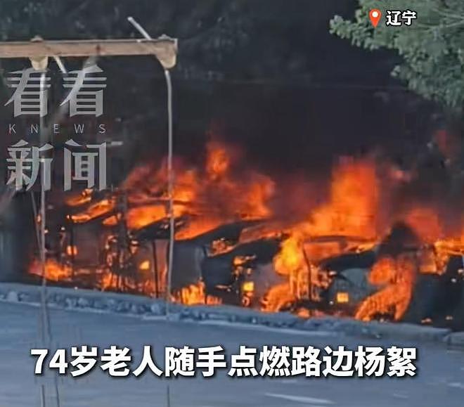 大连20辆新能源车被烧,现场画面流出,纵火者身份被扒,原因离谱(组图) - 10
