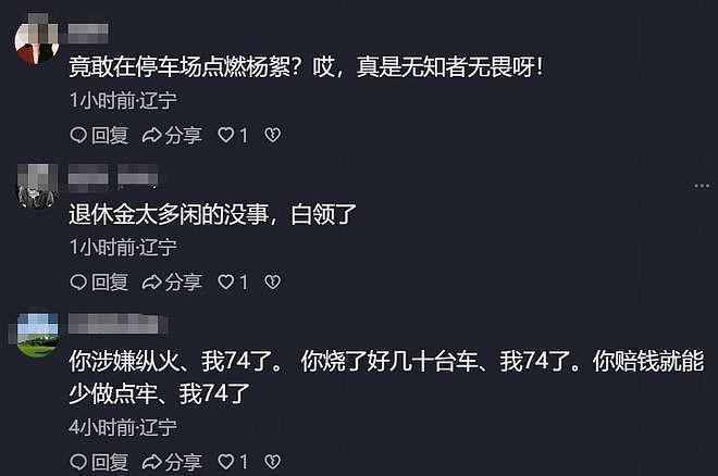 大连20辆新能源车被烧,现场画面流出,纵火者身份被扒,原因离谱(组图) - 12