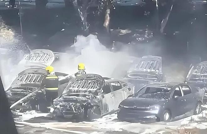 大连20辆新能源车被烧,现场画面流出,纵火者身份被扒,原因离谱(组图) - 14