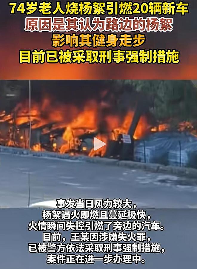 大连20辆新能源车被烧,现场画面流出,纵火者身份被扒,原因离谱(组图) - 16
